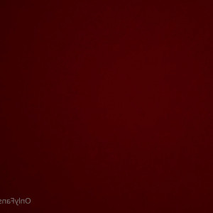 Video by kitsune_foreplay published on May 26,2023 10:03:00 - BestThots