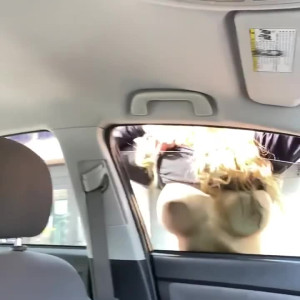 Video by madisonmorgan published on April 9,2023 19:03:00 - BestThots
