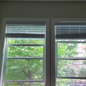 Video by chambers_tank published on May 18,2023 05:37:00 - BestThots