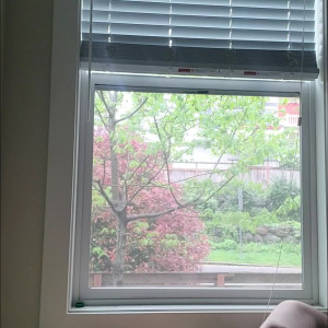 Video by chambers_tank published on April 2,2023 14:11:00 - BestThots