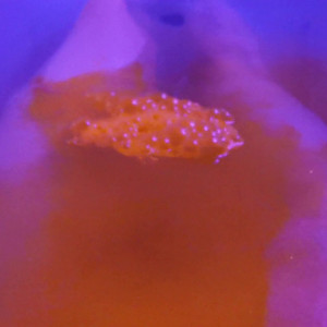 Video by houseofrae published on August 26,2023 03:33:54 - BestThots