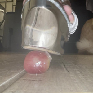 Video by preciousssgemm published on March 9,2023 16:09:00 - BestThots
