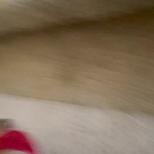 Video by preciousssgemm published on March 15,2023 03:47:00 - BestThots
