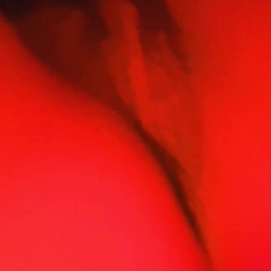 Video by betzyblack published on July 25,2023 05:42:00 - BestThots
