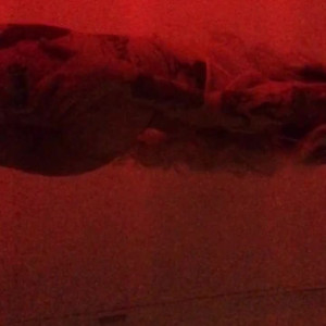 Video by betzyblack published on July 16,2023 02:42:00 - BestThots