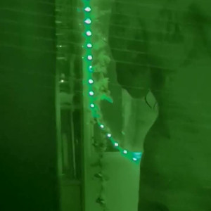 Video by betzyblack published on April 9,2023 12:07:00 - BestThots
