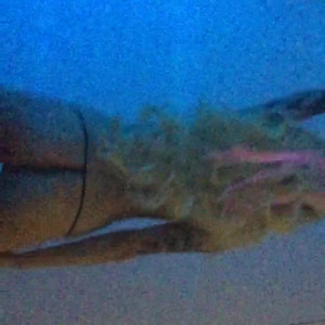 Video by betzyblack published on April 12,2023 03:44:00 - BestThots