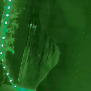 Video by betzyblack published on August 15,2023 17:06:00 - BestThots