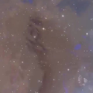 Video by betzyblack published on July 26,2023 16:31:00 - BestThots