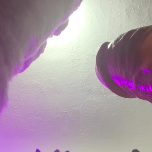 Video by bingtours published on April 8,2023 02:05:00 - BestThots