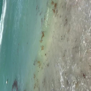 Video by daniibanks published on May 30,2023 05:34:00 - BestThots