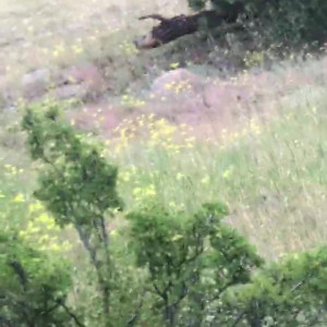 Video by ellabarnett published on June 2,2023 03:44:00 - BestThots