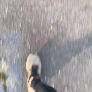 Video by tastytaurustoes published on March 11,2023 14:13:00 - BestThots