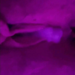 Video by misocute published on August 21,2023 11:50:00 - BestThots
