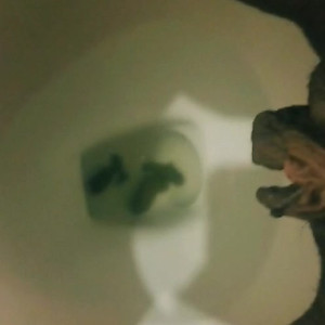 Video by prettykitty414 published on July 3,2023 20:51:00 - BestThots