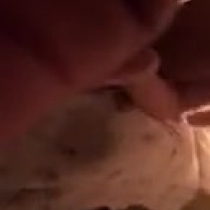 a27hopsonxxx #8418540