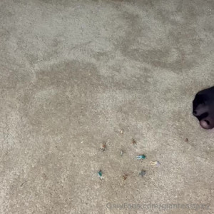 giantessgrey #3622914