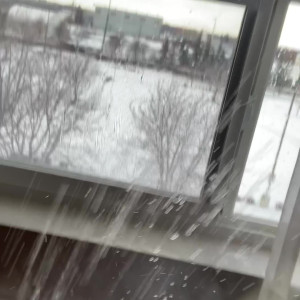 Video by maplecakes published on May 26,2023 10:31:00 - BestThots