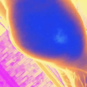 Video by em0ti0naljpg published on July 4,2023 16:17:00 - BestThots