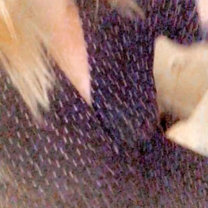 Video by laylaa-louise published on April 7,2023 12:43:00 - BestThots