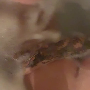 Video by karmenkarma published on May 17,2023 09:35:00 - BestThots
