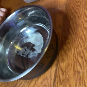Video by lillysg94 published on April 19,2023 21:48:00 - BestThots
