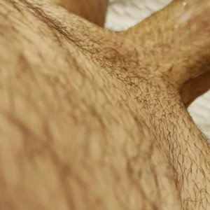 Video by pantynectar published on August 1,2023 05:45:00 - BestThots