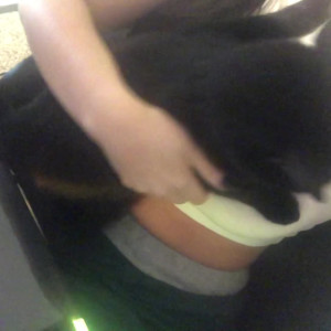 Video by savanahroses published on July 13,2023 12:08:00 - BestThots