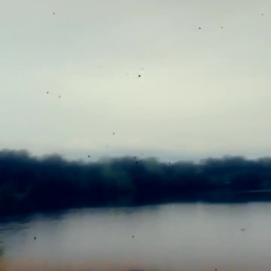 Video by savanahroses published on August 14,2023 07:20:00 - BestThots
