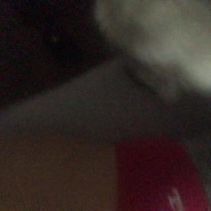 Video by savanahroses published on July 3,2023 22:50:00 - BestThots