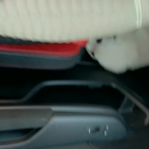 Video by savanahroses published on June 16,2023 06:04:00 - BestThots