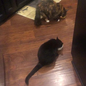 Video by savanahroses published on August 20,2023 00:35:00 - BestThots