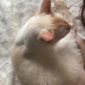 Video by savanahroses published on June 17,2023 07:50:00 - BestThots