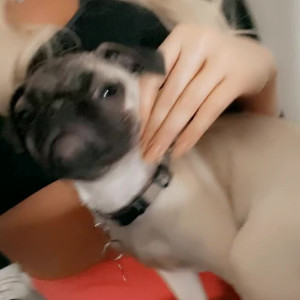 Video by stellaexclusive published on May 29,2023 03:27:00 - BestThots