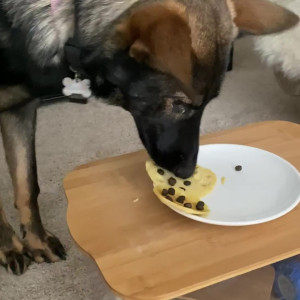 Video by cybersofty published on July 20,2023 07:59:00 - BestThots