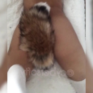 Video by cybersofty published on August 11,2023 01:46:00 - BestThots