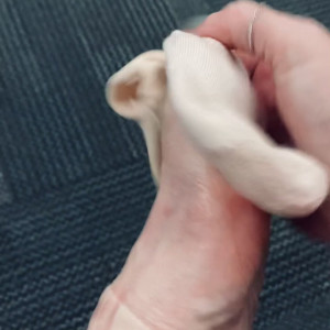 Video by beneathmytoes published on July 5,2023 16:46:00 - BestThots