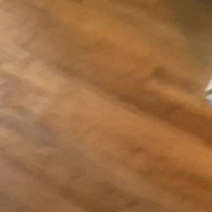 Video by beneathmytoes published on July 9,2023 21:55:00 - BestThots