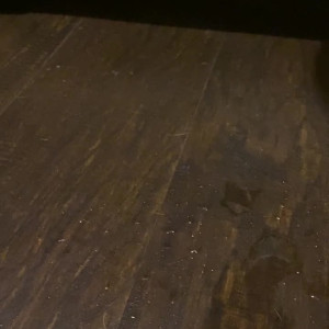 Video by datbootytho954 published on July 4,2023 14:39:00 - BestThots
