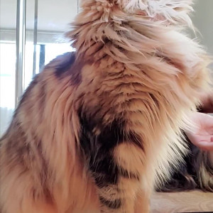 Video by nikkidavisxo published on April 14,2023 02:45:00 - BestThots