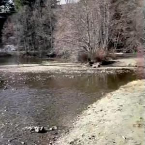 Video by cherryleelee published on August 6,2023 17:17:00 - BestThots