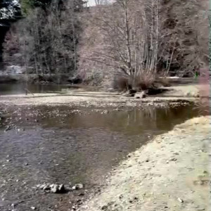 Video by cherryleelee published on March 27,2023 02:20:00 - BestThots