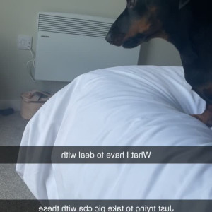 Video by xalexraex published on June 2,2023 03:56:00 - BestThots