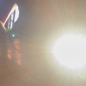 Video by shadeofme published on June 13,2023 17:07:00 - BestThots
