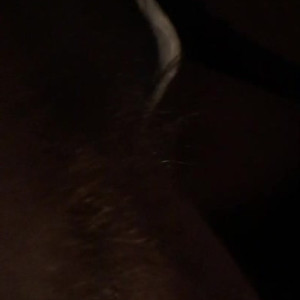 Video by karamitch published on May 28,2023 07:12:00 - BestThots