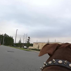 Video by channelone published on May 31,2023 05:58:00 - BestThots