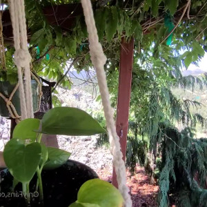 Video by channelone published on May 12,2023 09:16:00 - BestThots