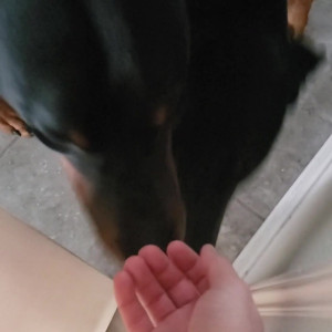 Video by channelone published on May 24,2023 11:29:00 - BestThots