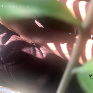 Video by therealzoey published on April 23,2023 21:09:00 - BestThots