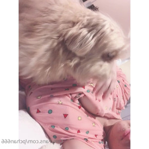 Video by pchan666 published on May 28,2023 01:56:00 - BestThots